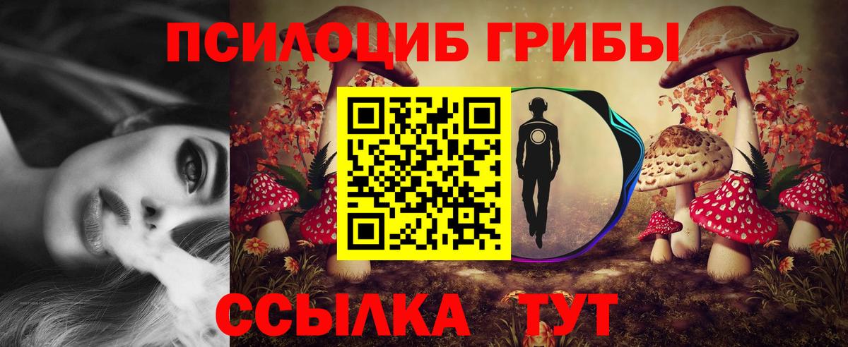 Псилоцибиновые грибы Cubensis  Вход с VPN  Донецк 